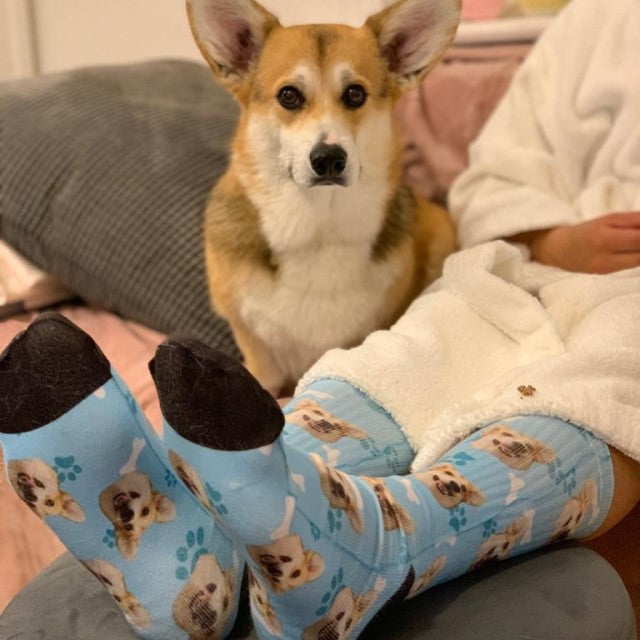 Custom Dog Socks